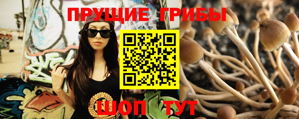 Галлюциногенные грибы GOLDEN TEACHER Дятьково
