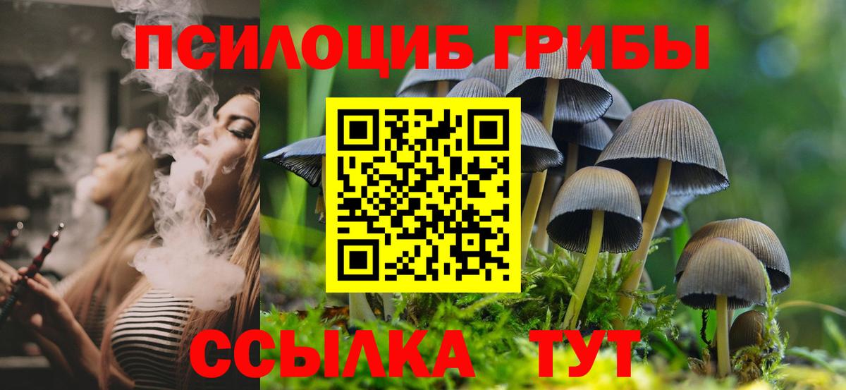 где купить наркоту  Вход с VPN  Галлюциногенные грибы GOLDEN TEACHER  Дятьково  Псилоцибиновые грибы Cubensis 